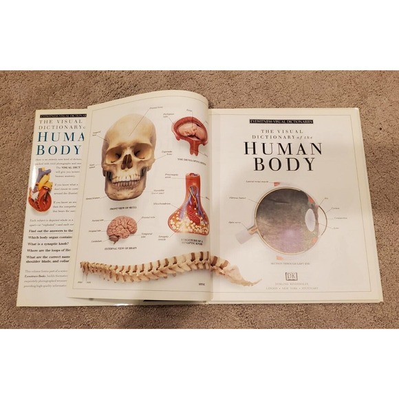 Eyewitness Visual Dictionaries: the Visual Dictionary of the Human Body by DK... - Picture 6 of 14